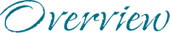 Overview
